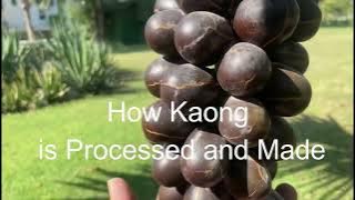 AMAZING TREE #KAONG PALM TREE#SWEET DELIGHT