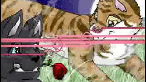 Feathertail or Leafpool?