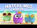 Angry Birds | Adorable Hatchlings Moments