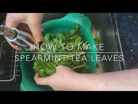 WIE SPEARMINT Teeblättern zu Hause