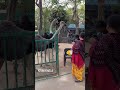 ostrich 🤩😋