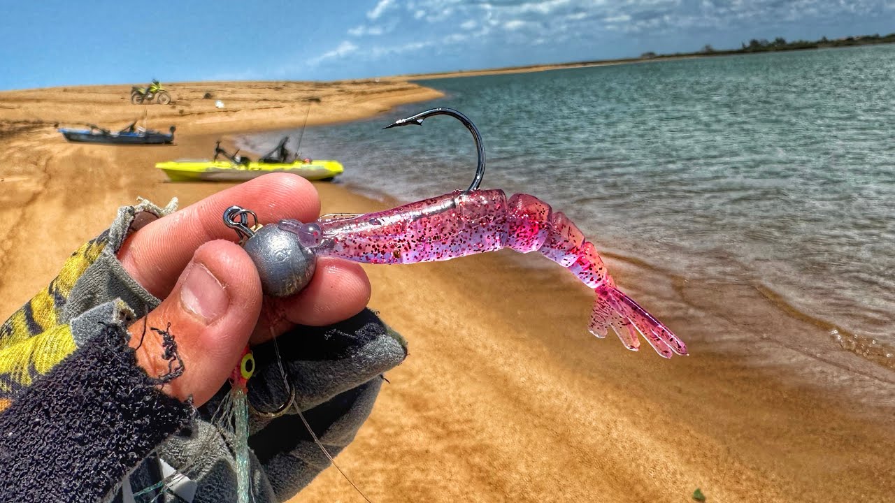 PESCA de ROBALOS GRANDES com CAMARÃO ARTIFICIAL na PRAIA!!!