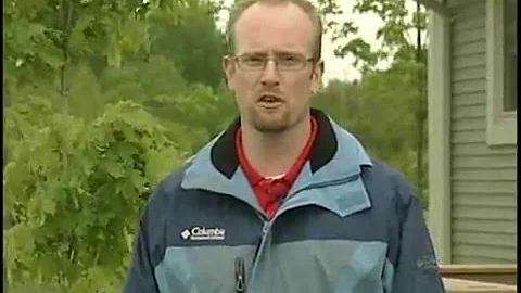 Trees & Property Boundaries