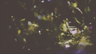 Light Leaks Element 88
