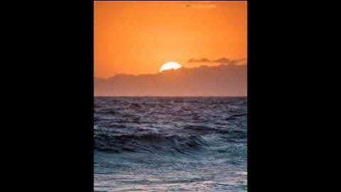 Ambient Season Music - Happy Bee Surf by Kevin MacLeod