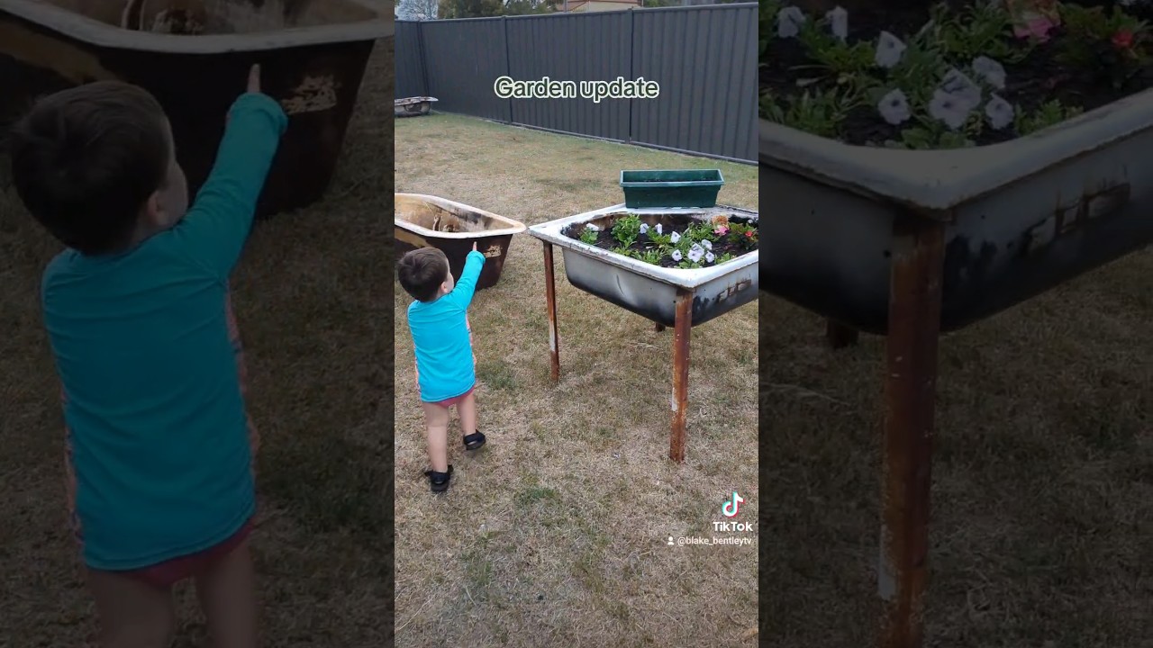 Gardening Wizard and his Wizard son plant more plants lifestyle 