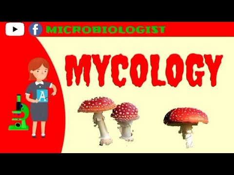 Microbiology lecture| Introduction to Mycology | Mycology Microbiology| what is fungi| fungs