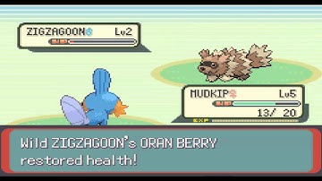 SO I HERD U LIEK MUDKIPZ - Pokemon Emerald: Episode 1