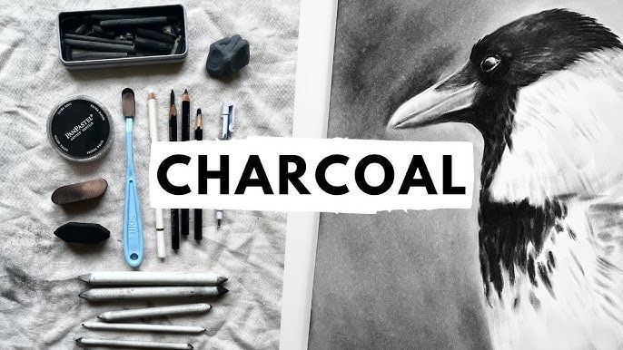 ULDIGI 25pcs Willow Charcoal Drawing Sticks 7 Sketching Pencils For Artists Painting Charcoal Tools For And Beginner Sketching