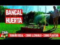 Como hacer un Bancal para Huerto Urbano - Con qué llenarlo - Qué y Cómo Plantar en el cajón