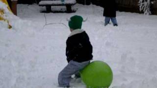 Hippety-Hopper In The Snow