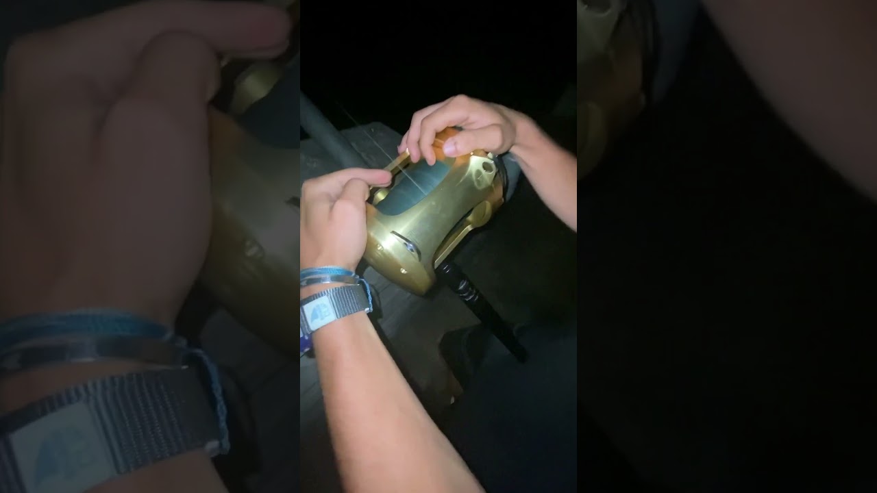 Run on the tiagra🦈 