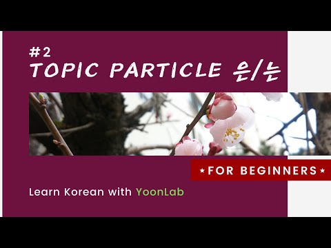 Korean Grammar #2 | Topic Particles N는/은