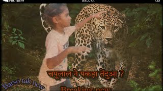 Champulal Ne Pakada Tenduafunny News With Barso Tak