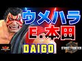ストリートファイター6✨ウメハラ [エドモンド本田] ウメハラE.本田]始動 ！| SF6✨Daigo Umehara [E.Honda]✨スト6