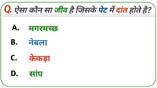 IQ Test : अपने दिमाग को परखो | Tricky Hindi Quiz | GK | GK question answer | GYANIALPHA07  screenshot 1