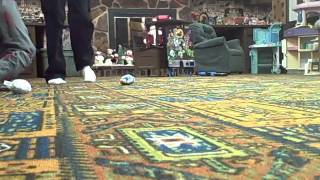 VID00008.AVI