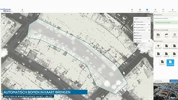 Automated tree detection from Mobile LiDAR