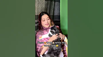 আম র আম ম র ন ত ট Foryou Funny Viralvideo Comedy Shammishem Love Youtube Shorts Food 