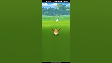 Hundo Eevee caught in the wild || Pokemon Go