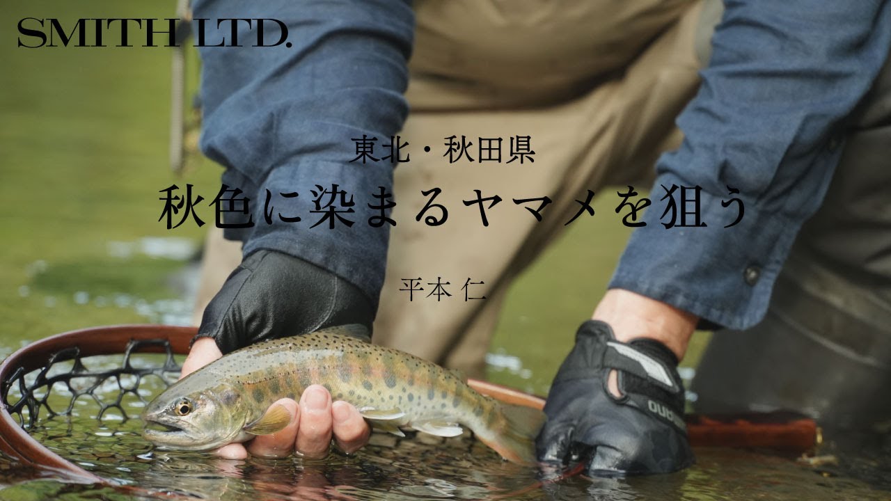 平本仁　東北・秋田県　秋色に染まるヤマメを狙う