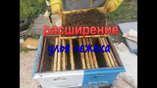 Расширение улья лежака