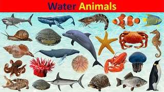20 Water Animals Name | Water Animals Name in Hindi and English | Water Animals Name video