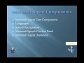 Microsoft Agent Characters Components
