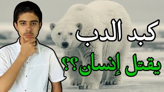 كبد الدب القطبي يقتل إنسان؟؟❄️?‍❄️