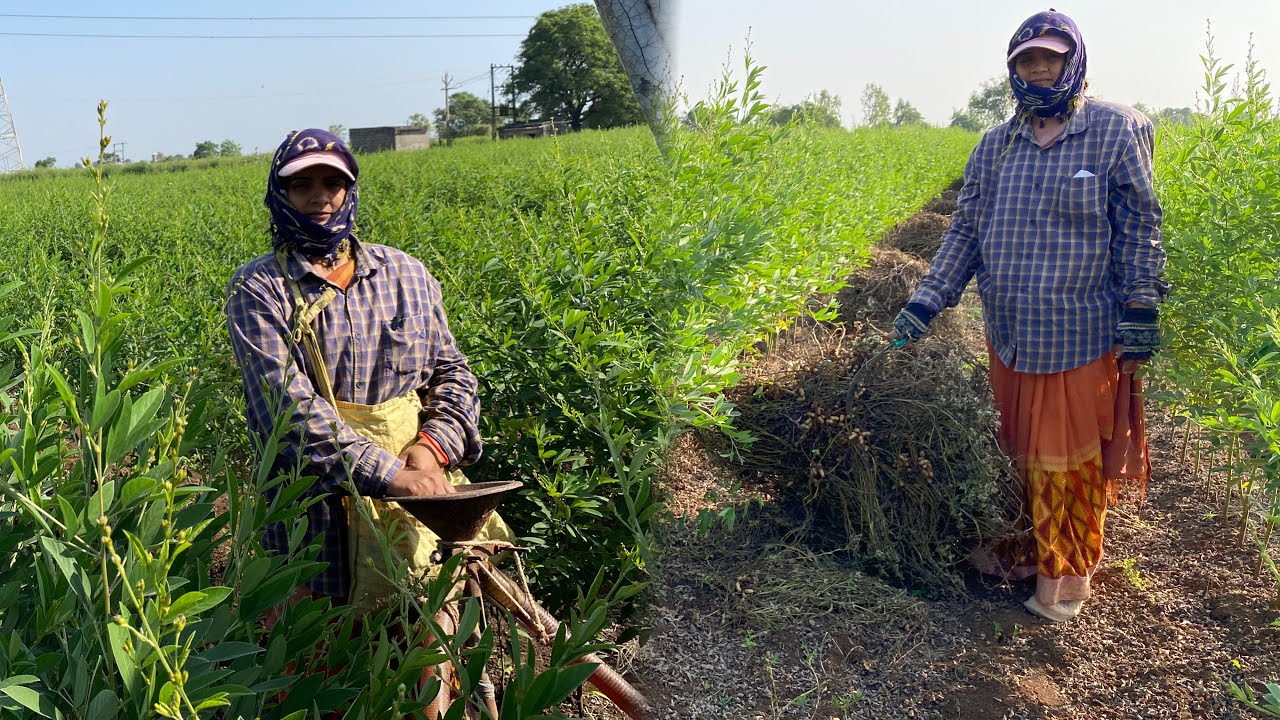 ખેતી બીજા ઉપર નિર્ભર રાખી તો નો થાય