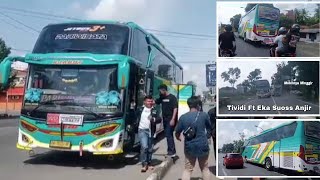 Ngoyod Bus Tividi Heart Breaker || Kebumen-Purworejo screenshot 5