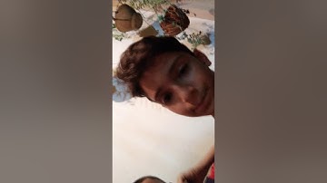 Preguntas con mi primo :V