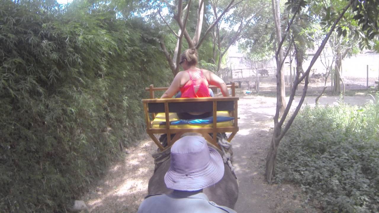Elephant Ride at the Bali Zoo Pt.1/2 YouTube