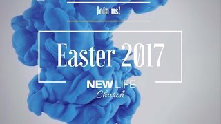 Easter 2017:  Cardboard Testimonies