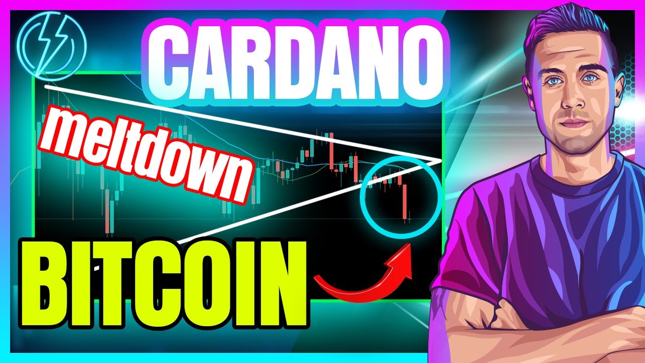 BITCOIN & CARDANO FALL! (Is BTC News Driving The Dip?)