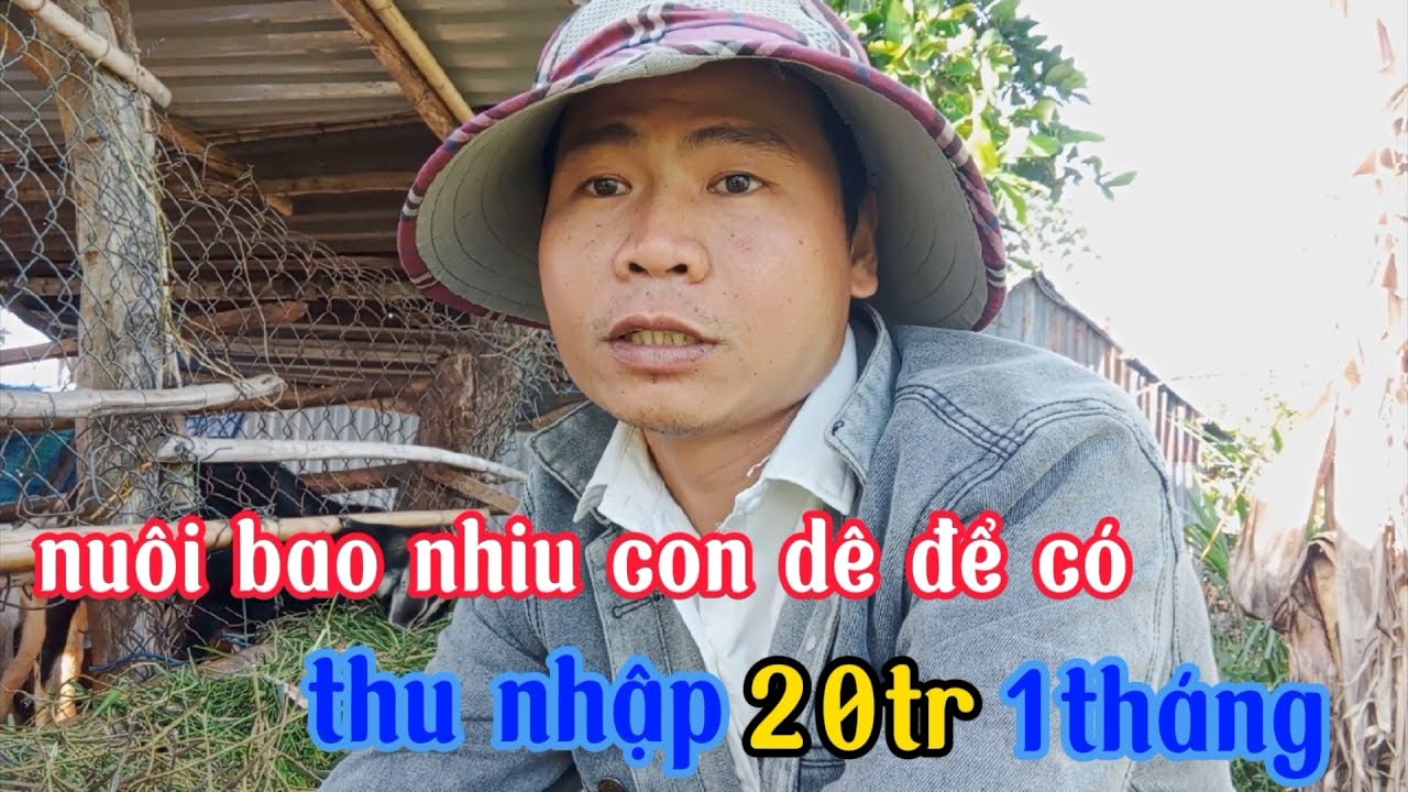 thu nhập 20tr 1tháng từ việc nuôi dê, thì cần phải nuôi bao nhiu con ở thời điểm này /Tâm nhà quê