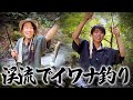 山奥の渓流でイワナを釣って塩焼きで喰らう