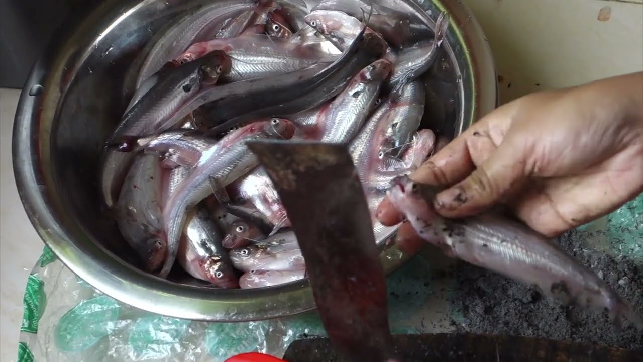Amazing Big Pabda Fish Cutting Desi Poddotite Pabda Mach Kata Fish