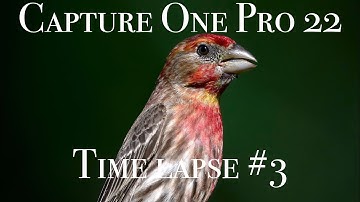 How to edit a RAW Photo | Timelapse of a Develop #3 in Capture One