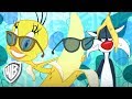 Looney Tunes em Português | Brasil | Pássaro Azul, com participação especial de Piu-Piu | WB Kids