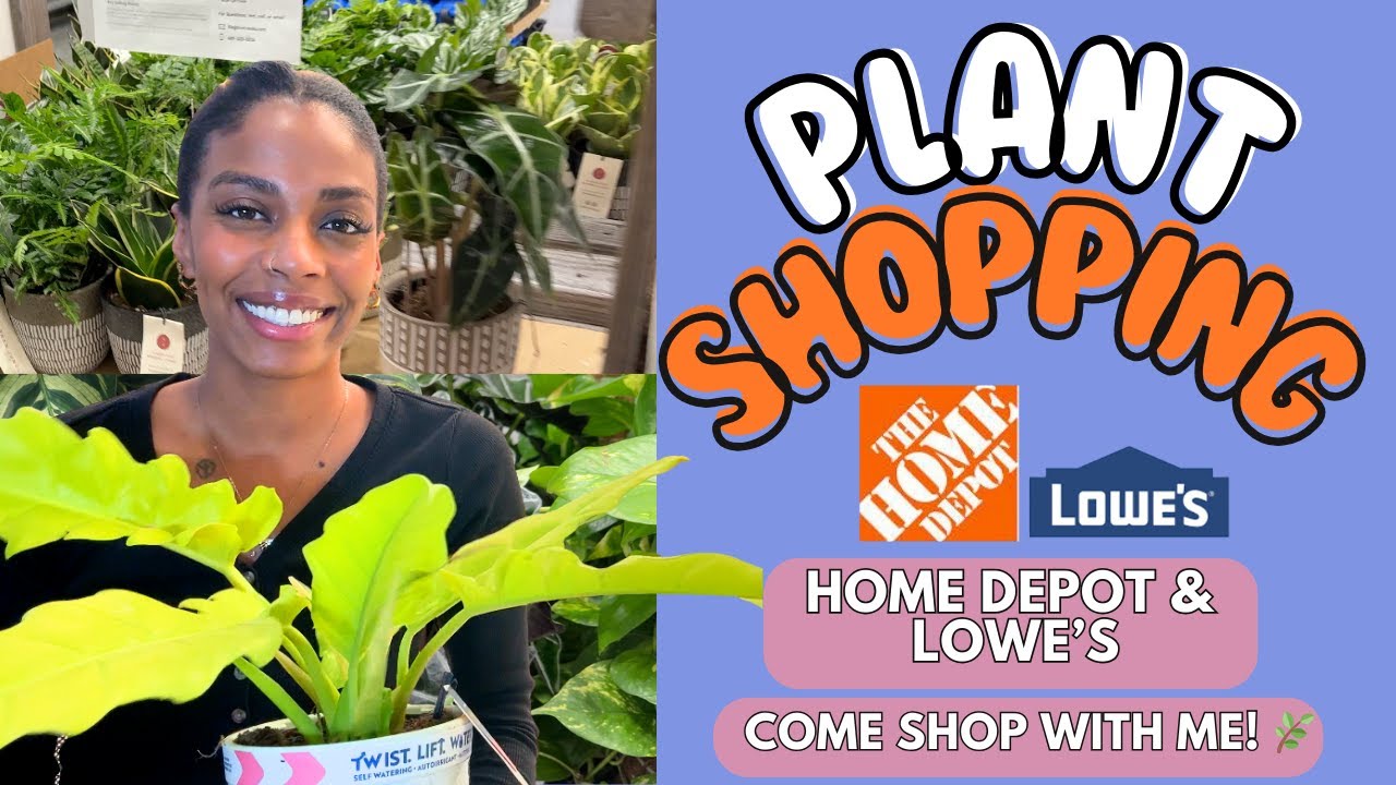 I Went Winter Plant Shopping at Lowe’s & Home Depot 🌿 Big Box Houseplant Trip in Rhode Island