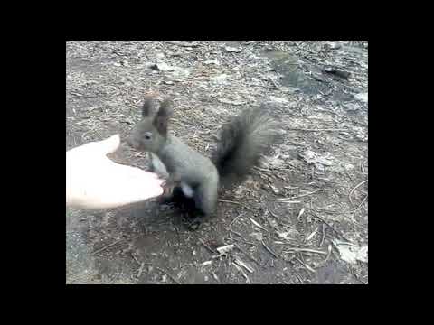 Making friends with