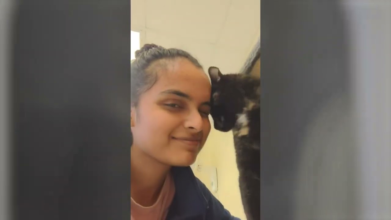 Toledo Animal Rescue - Feature Video | Advance Television Production - UToledo Project