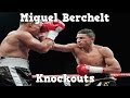 Miguel Berchelt - Highlights / Knockouts