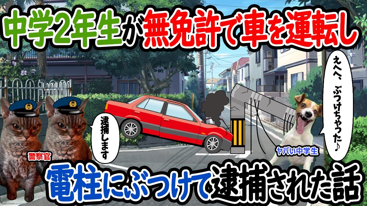 【ほぼ実話】中学２年生が無免許で車を運転し、電柱にぶつけて逮捕された話【猫ミーム】【猫マニ】