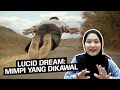 Lucid Dream: Mimpi yang Dikawal