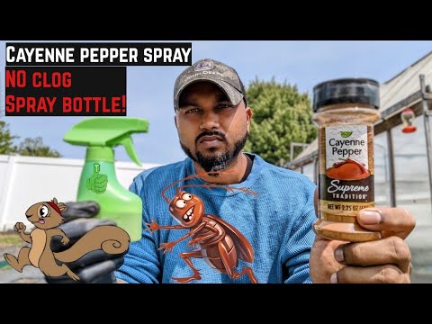 How To Make Pepper Spray For Garden Pests