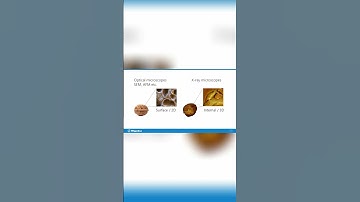 X Ray Microscopy  See Inside Objects Without Cutting!