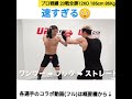 朝倉海, 安保瑠輝也を圧倒するK-1無差別級王者👑サッタリ🇮🇷