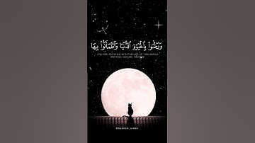 سورة يونس - آية ٧ القارئ | عبدالرحمن مسعد #حالات_واتس #quran #ستوريات